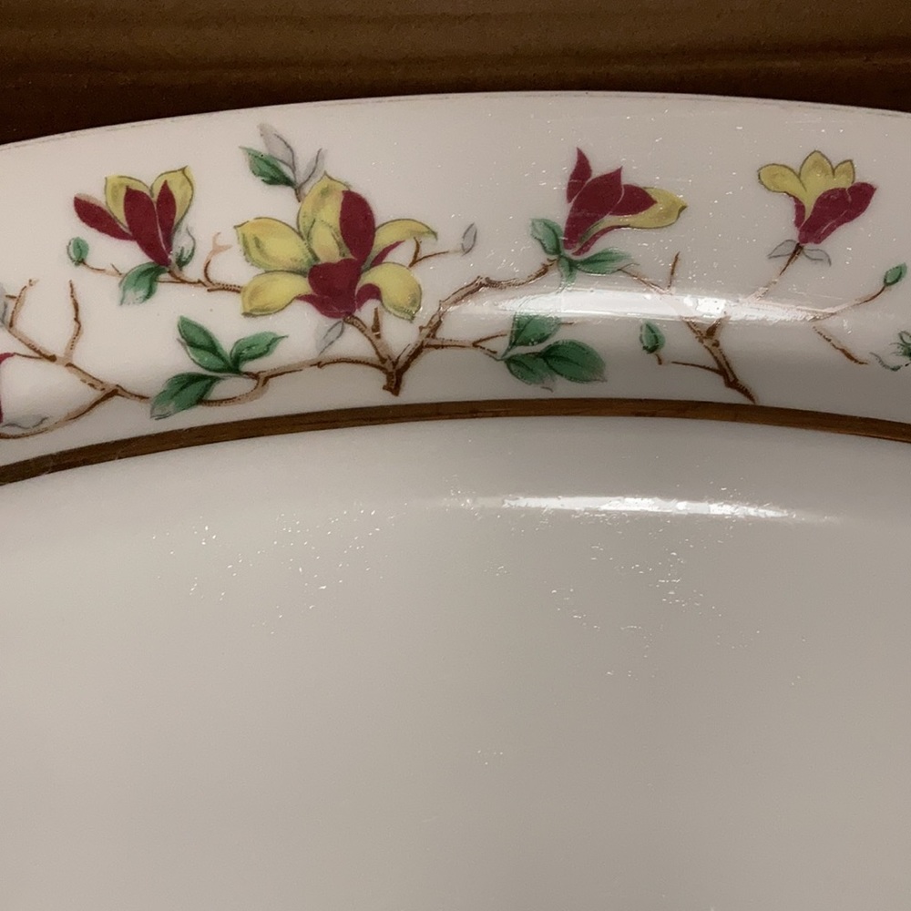 17" Oval Serving Platter in the Encanto #422 dinnerwar - Picture 2 of 5